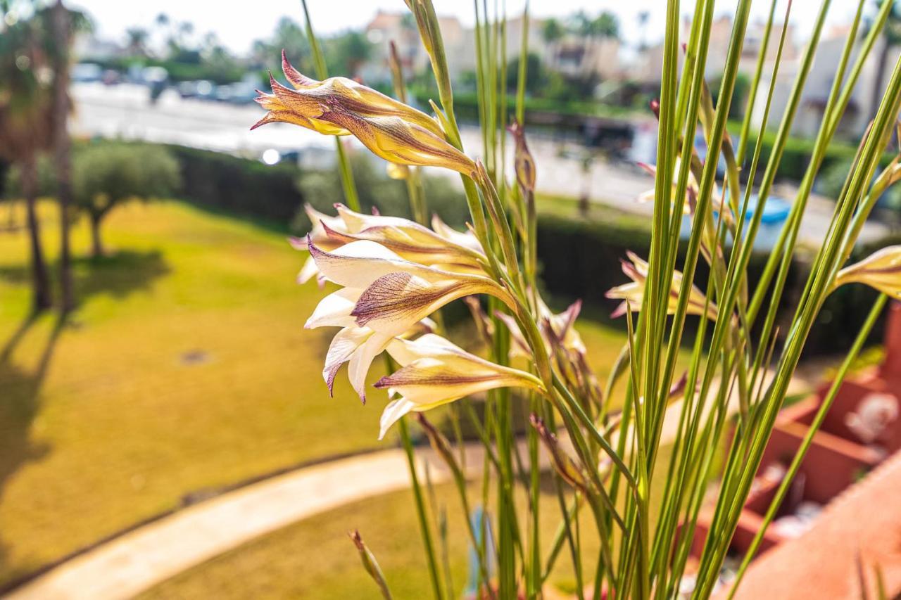 Vera Buda Natura. Atico Apartamento Con Vistas Al Mar. Playas de Vera ภายนอก รูปภาพ